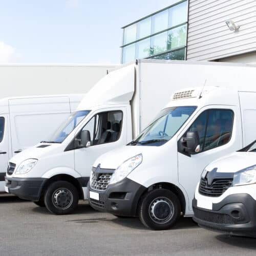 group of white vans lined up