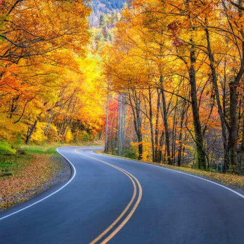 road with fall foliage