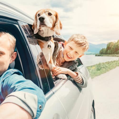 A father drives his son and pet dog down the road