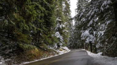 Curvy road through Washington park