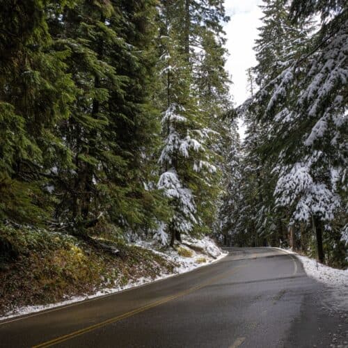 Curvy road through Washington park