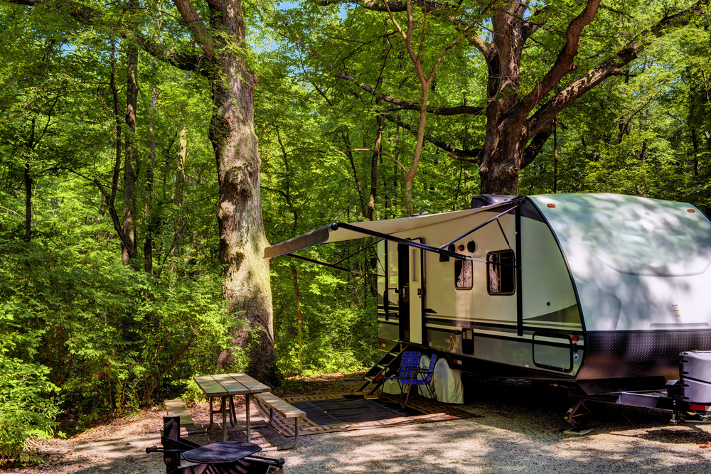 Motorhome is parked under beautiful trees