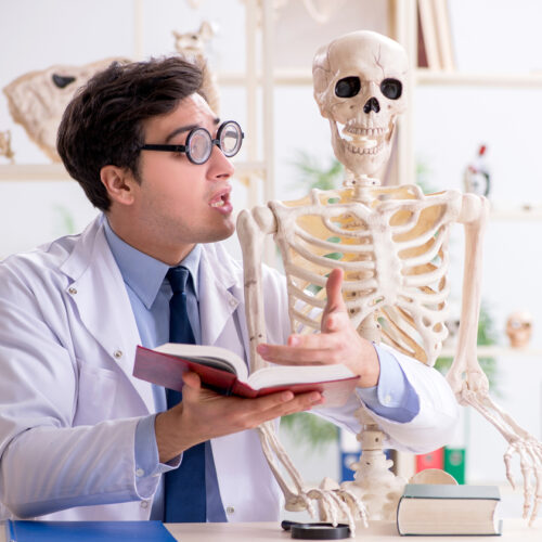 Medical professional explaining health insurance terms to skeleton - health insurance in Washington