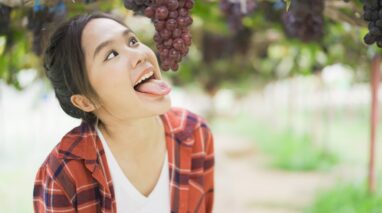 Funny face of Asian woman stick out tongue against a vine grape - car insurance in washington