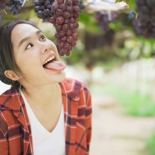 Funny face of Asian woman stick out tongue against a vine grape - car insurance in washington