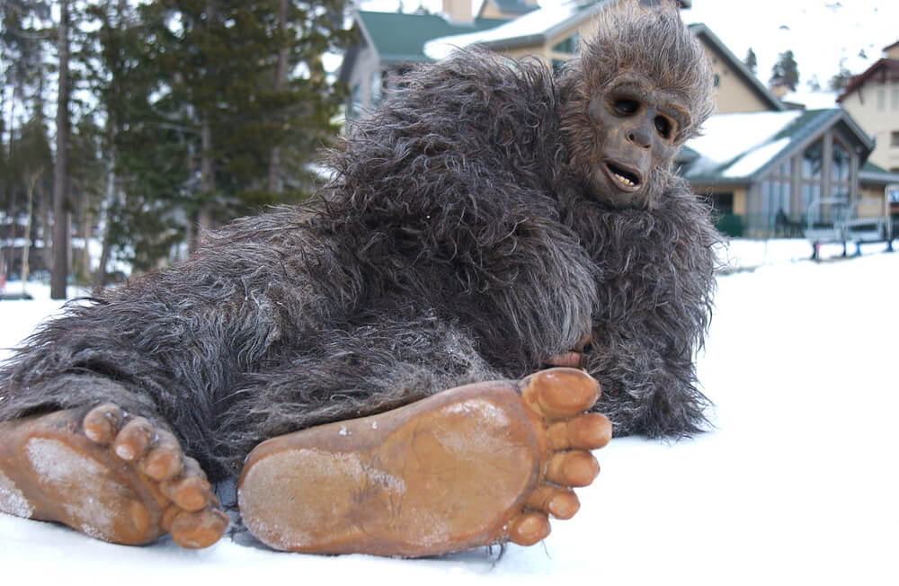 Bigfoot laying in the snow with feet towards camera - cheap car insurance in Washington.