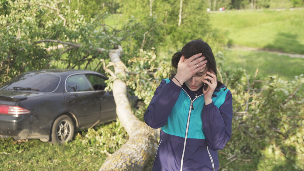 Upset woman calling to report a tree fell on her car - cheap car insurance in Washington.