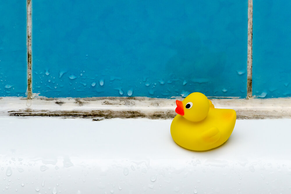 Mold in bath, a duck toy, bathroom with mold in Washington State, home insurance and mold.