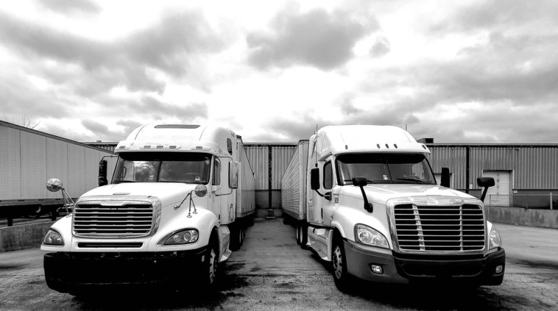 Trucking business, two semis facing out from docks.