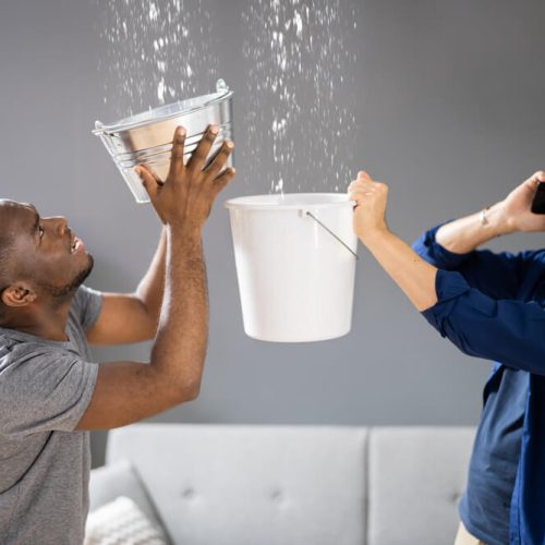 Roommates try to capture water from a leaky roof in Washington.