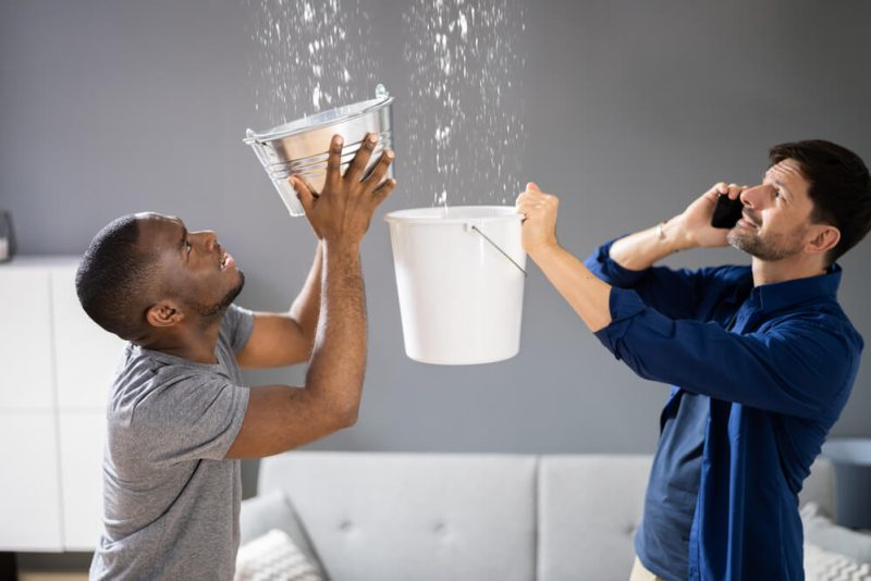 Roommates try to capture water from a leaky roof in Washington.